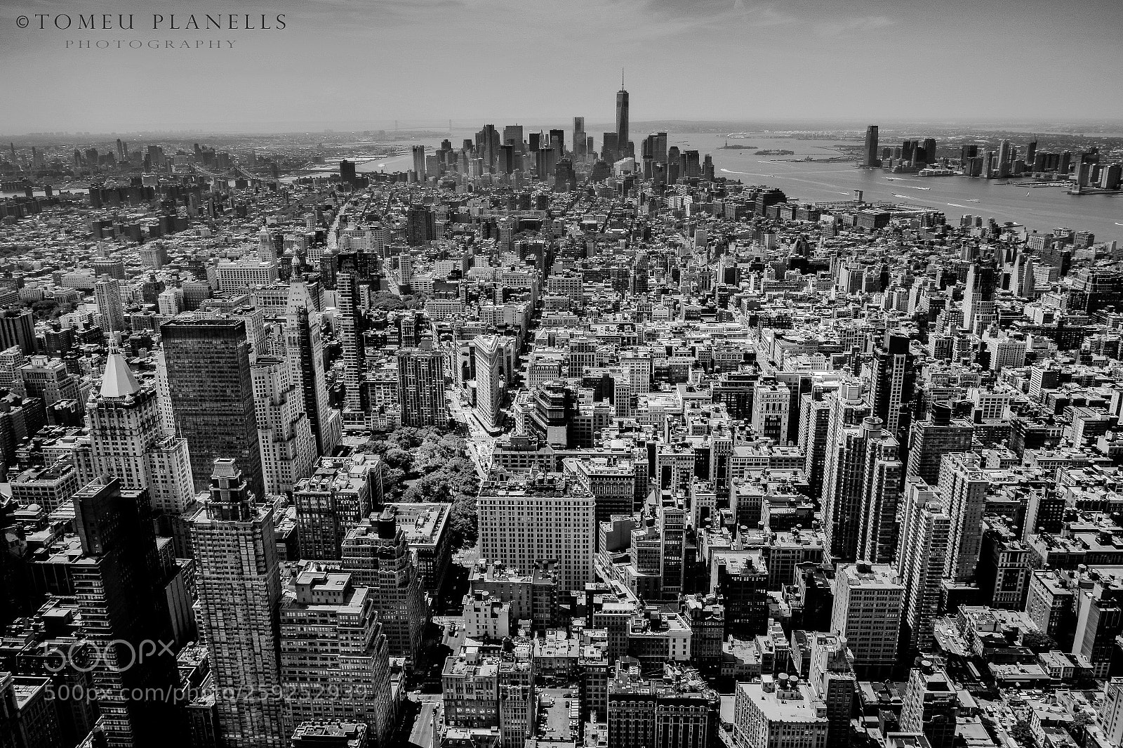 Sony Alpha a5000 (ILCE 5000) sample photo. Jazz suite photography