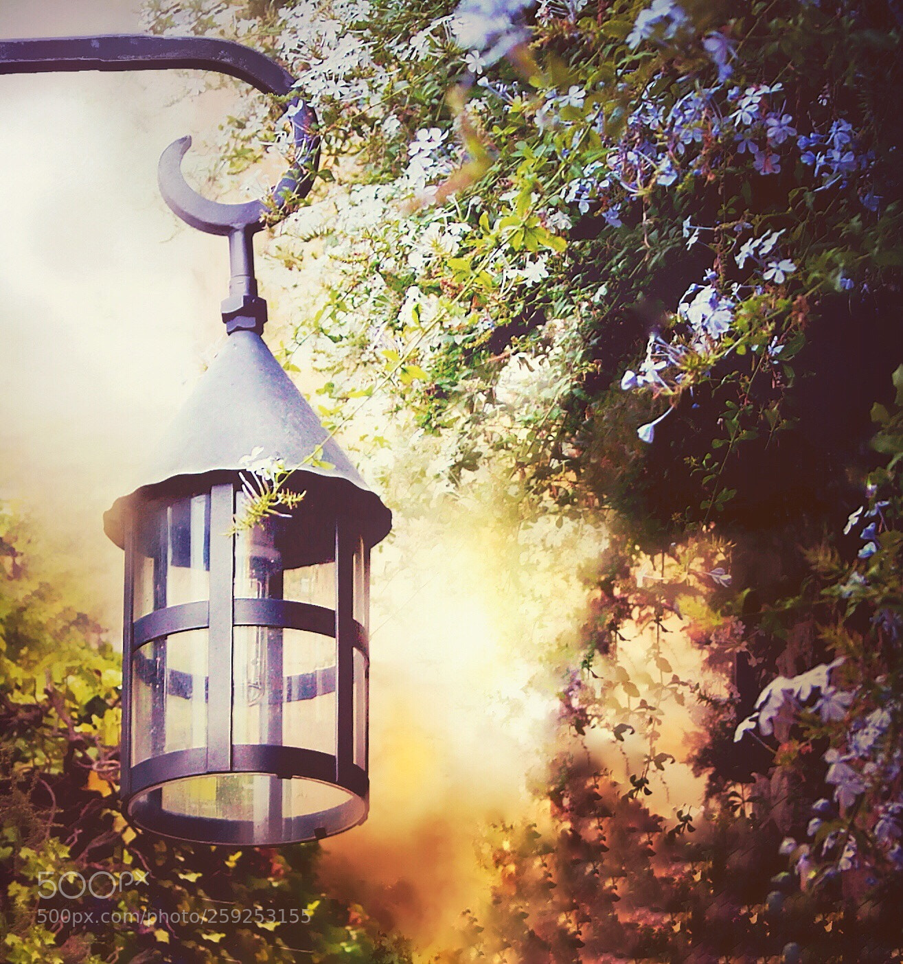 Canon EOS 6D sample photo. The secret garden  photography