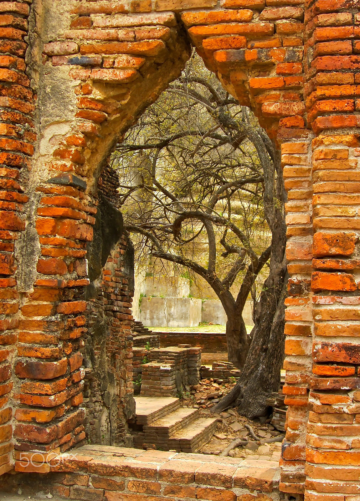 Canon PowerShot ELPH 100 HS (IXUS 115 HS / IXY 210F) sample photo. Ayutthaya photography