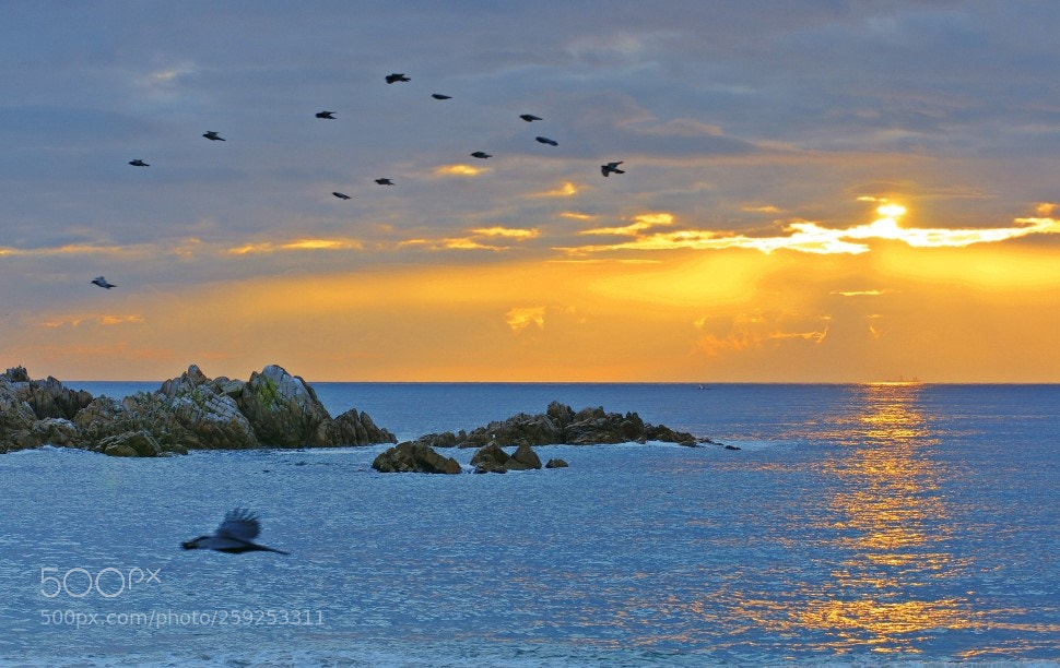 Sony Alpha DSLR-A700 sample photo. Gold sunrise photography