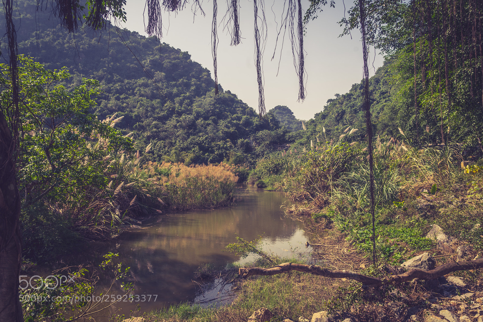 Sony a7 II sample photo. Tam coc glimpse photography