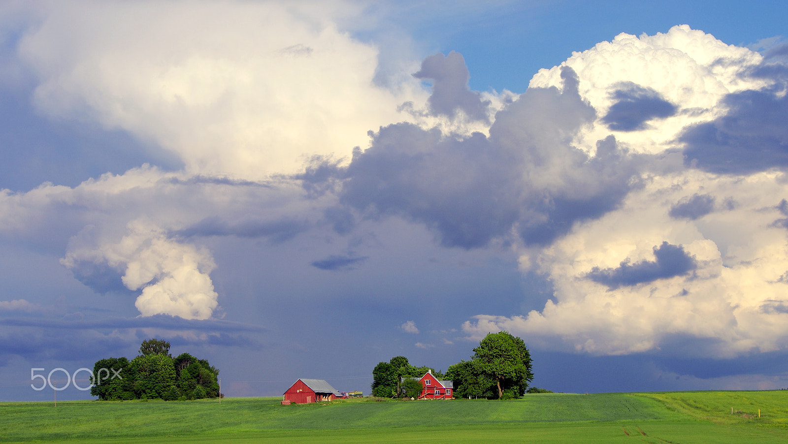 Pentax K-5 IIs sample photo. Duck in the cloud photography