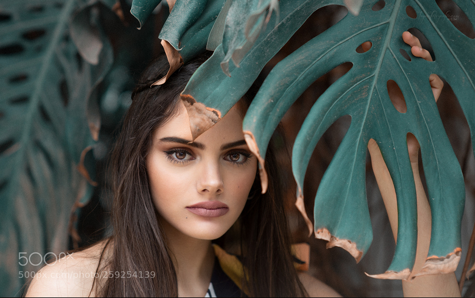 Nikon D810 sample photo. Rosa photography