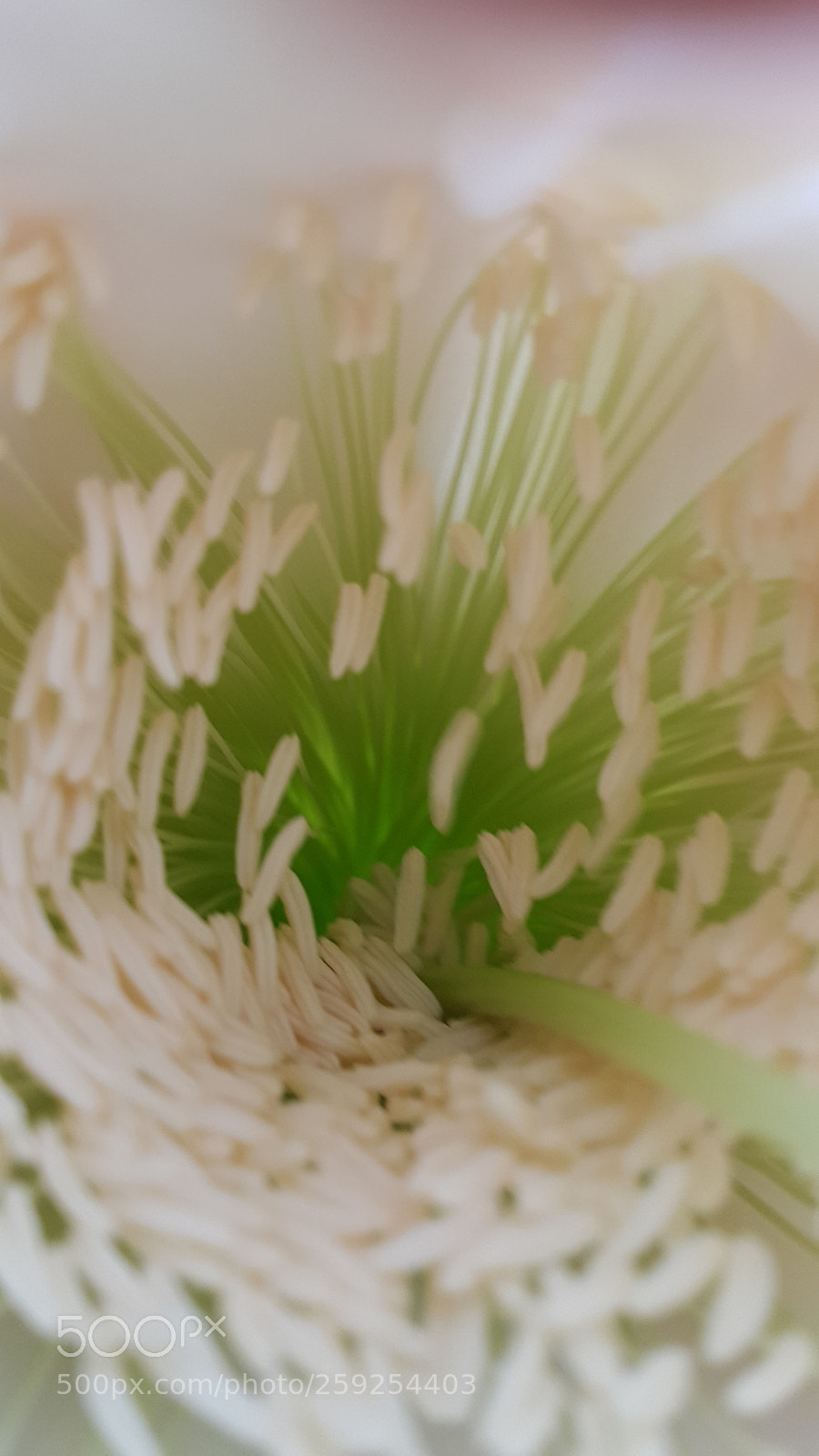 Samsung Galaxy Note4 sample photo. Deep inside the flower photography