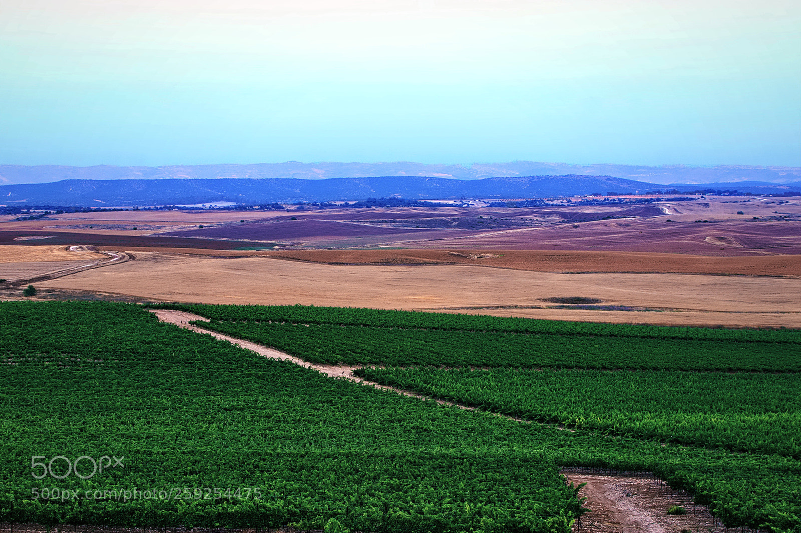 Nikon D7200 sample photo. Wine and bread photography