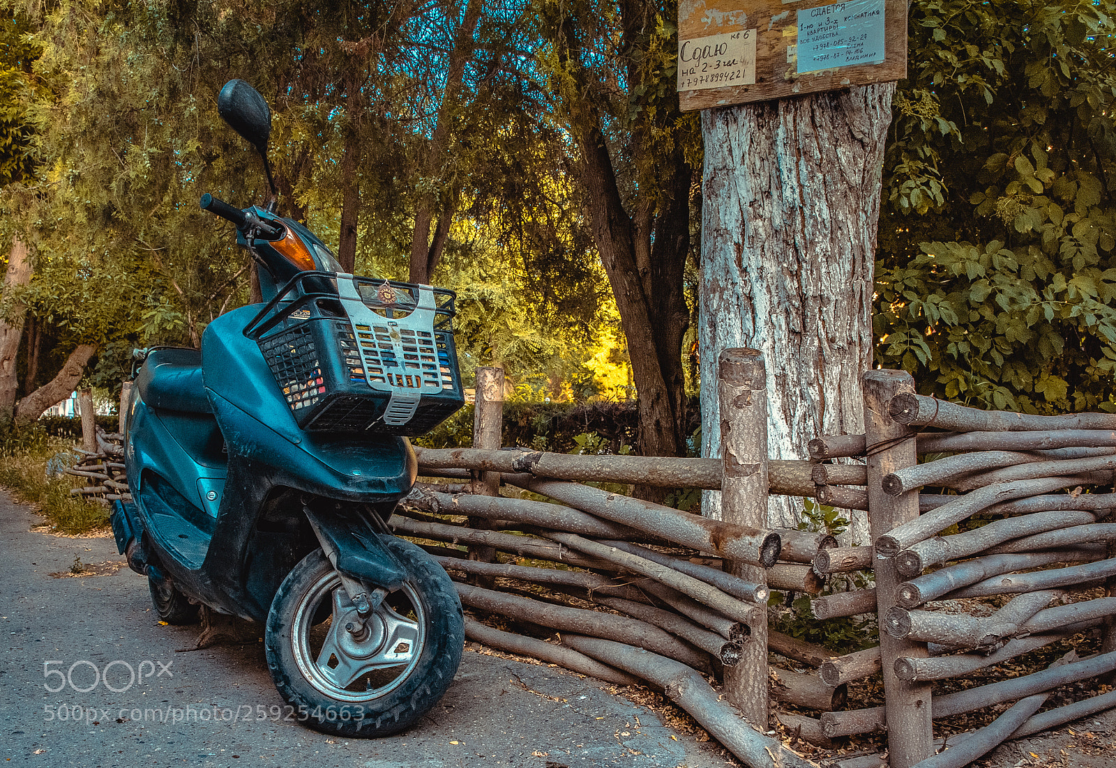 Nikon D7100 sample photo. *** photography