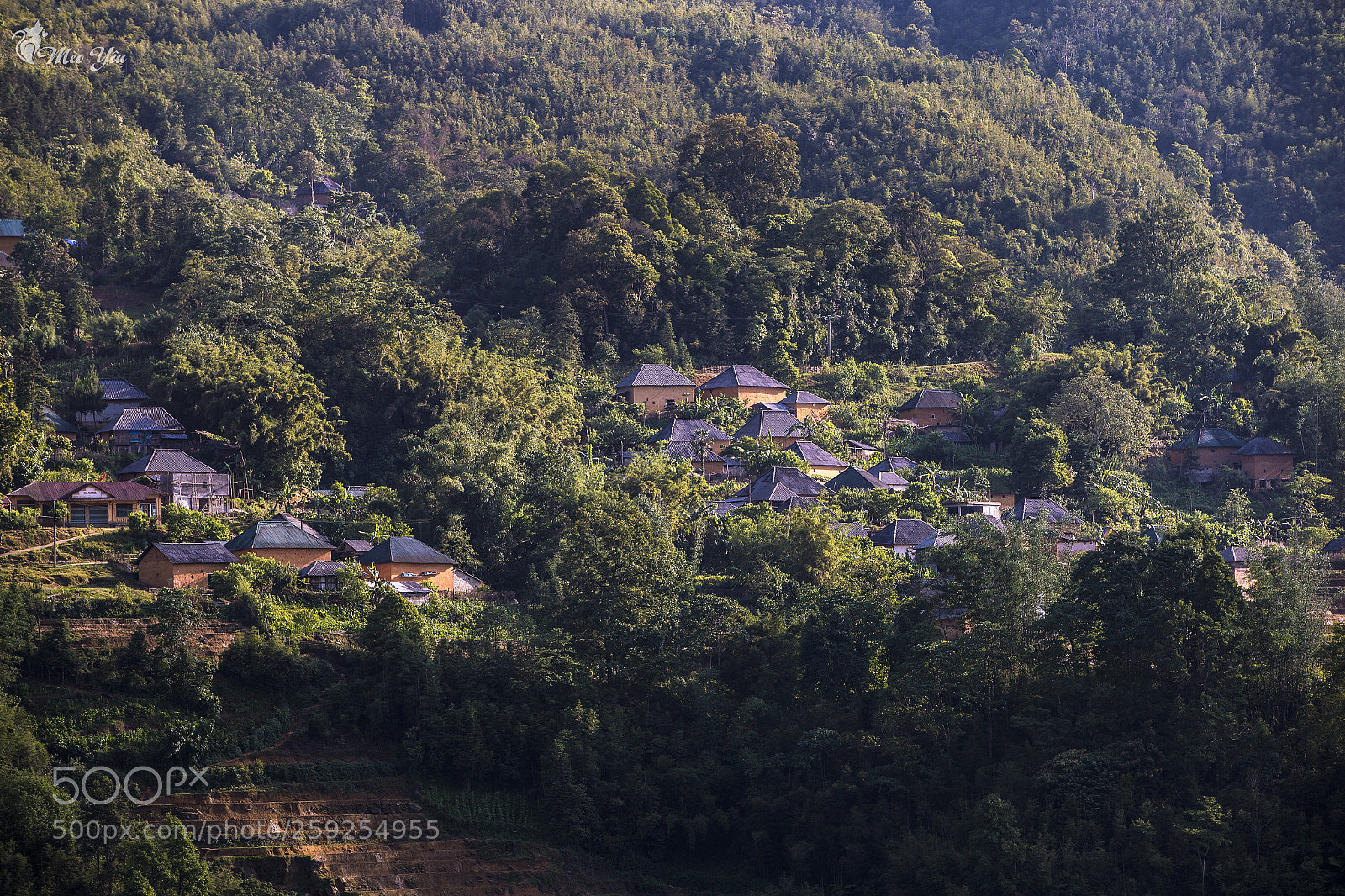 Canon EOS 6D sample photo. House in forest photography