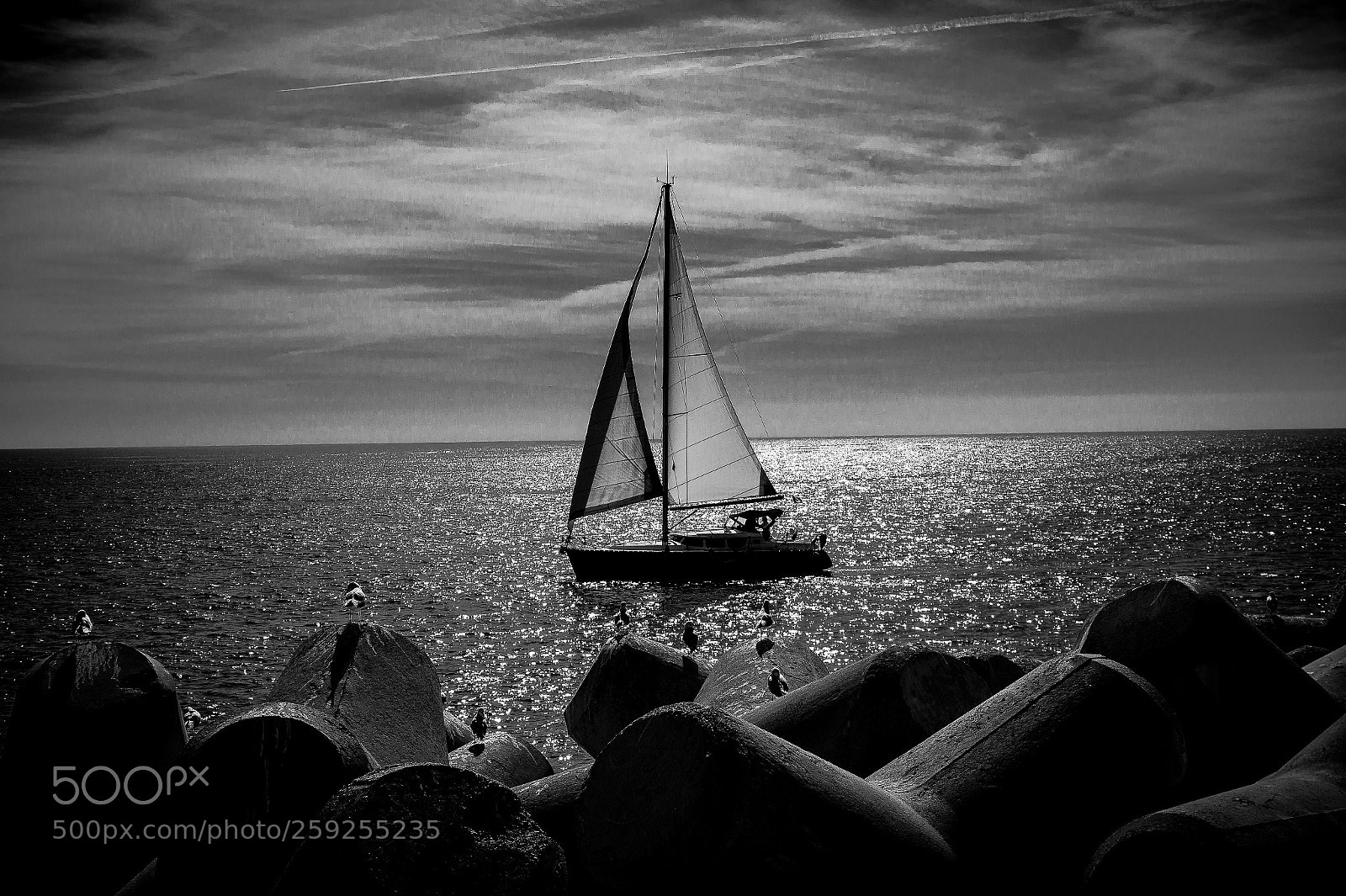 Sony SLT-A58 sample photo. Sailing in backlight photography