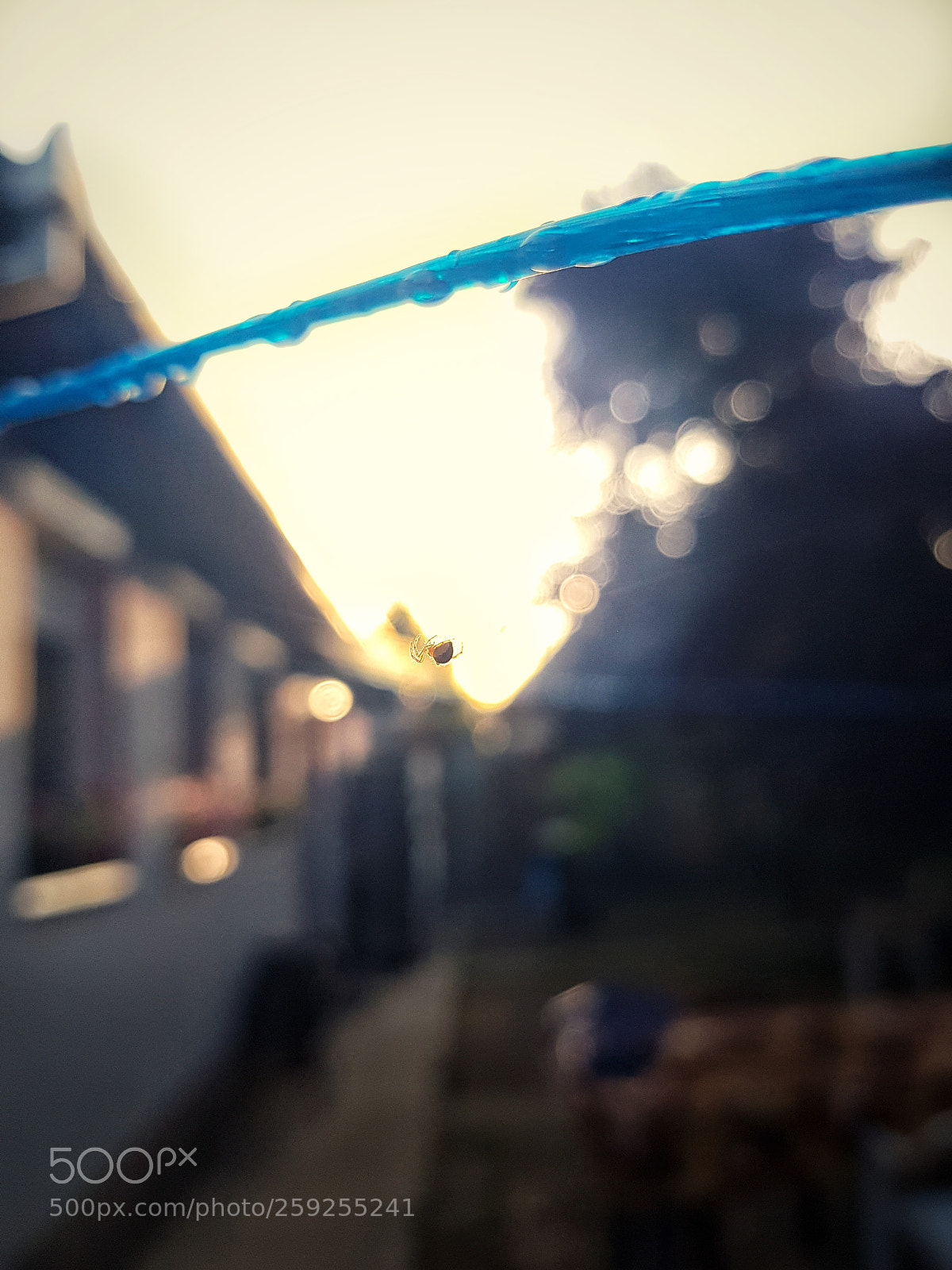 Samsung Galaxy S7 Edge sample photo. Untitled photography
