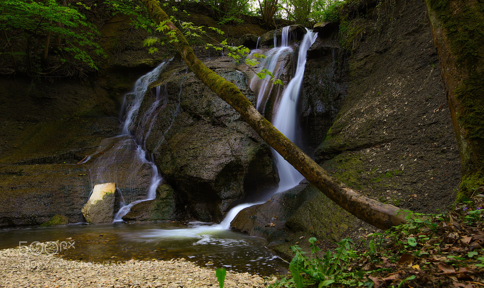Canon EOS 6D Mark II sample photo. The silent water photography