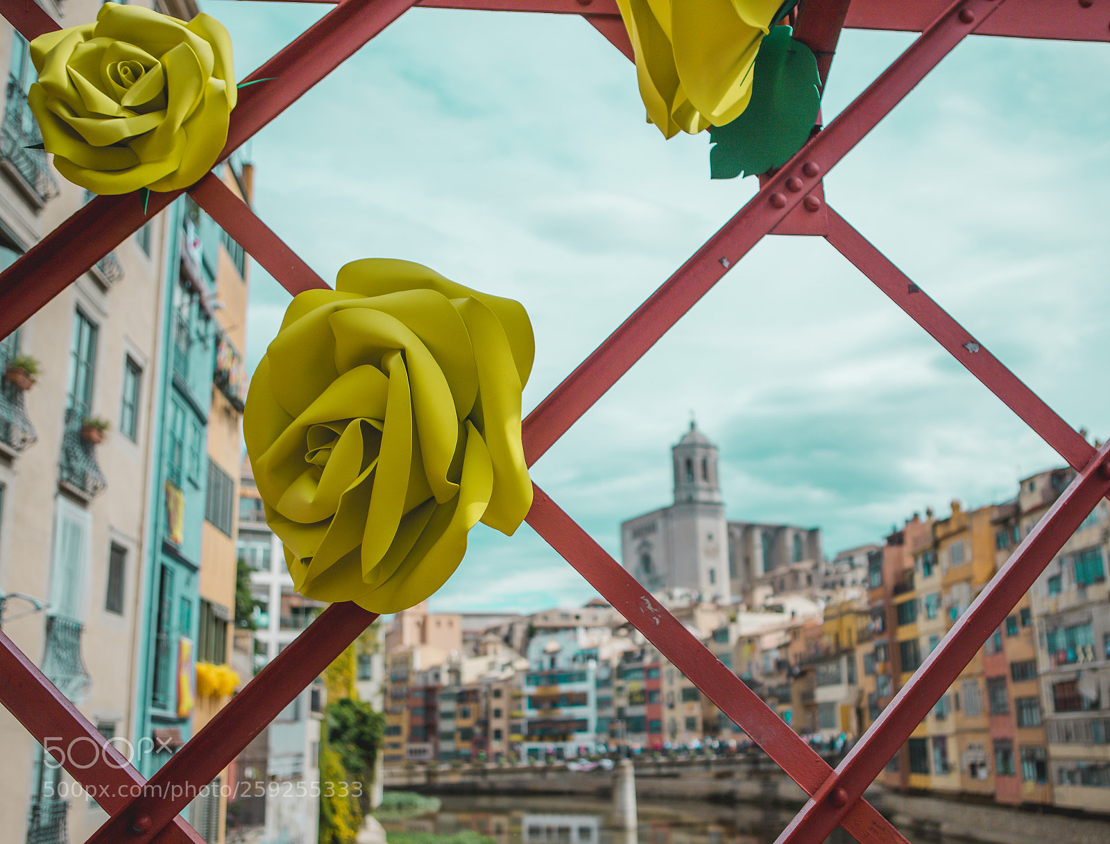 Canon EOS 6D Mark II sample photo. Girona; temps de flors photography