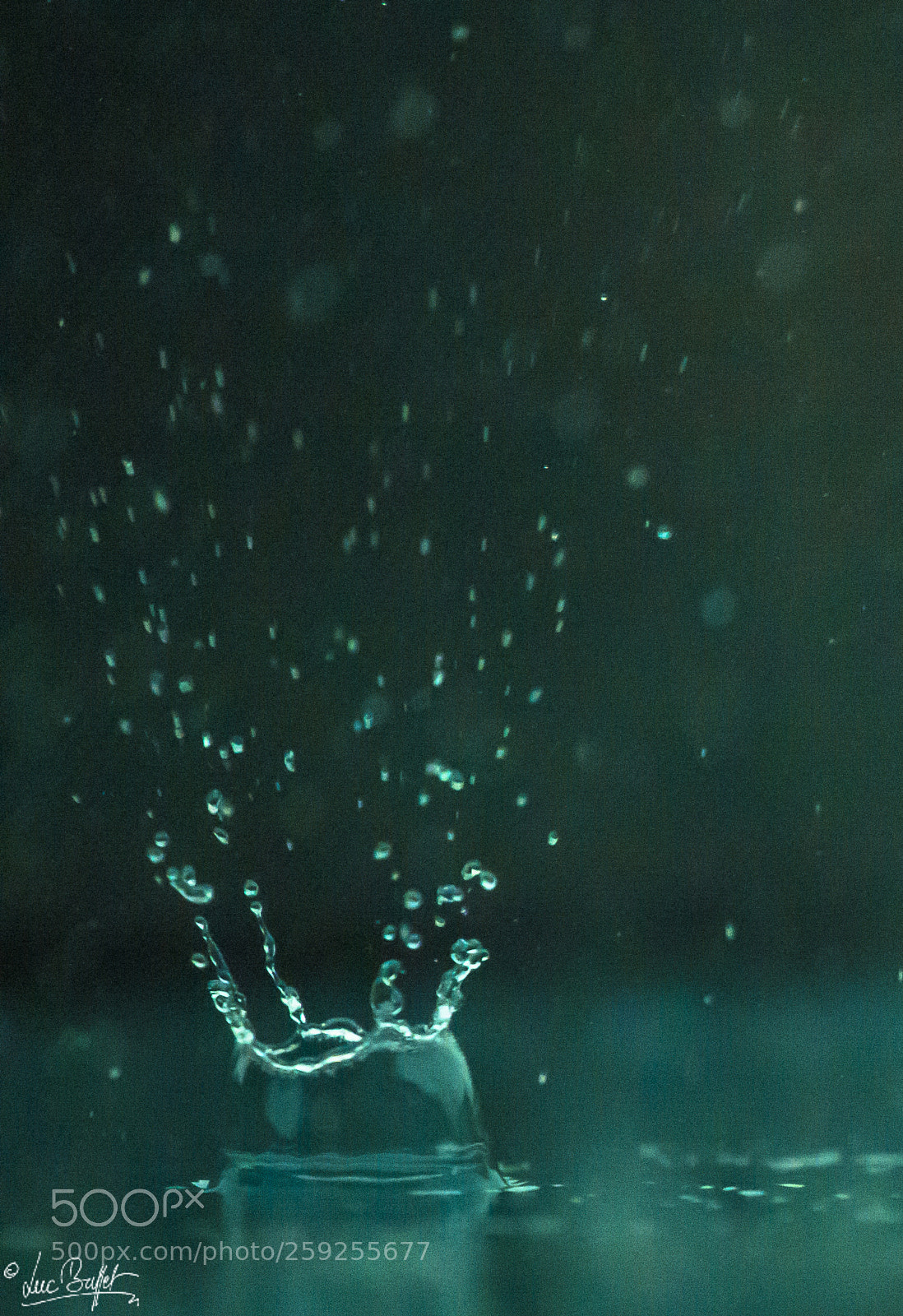 Nikon D800 sample photo. It was really hard photography