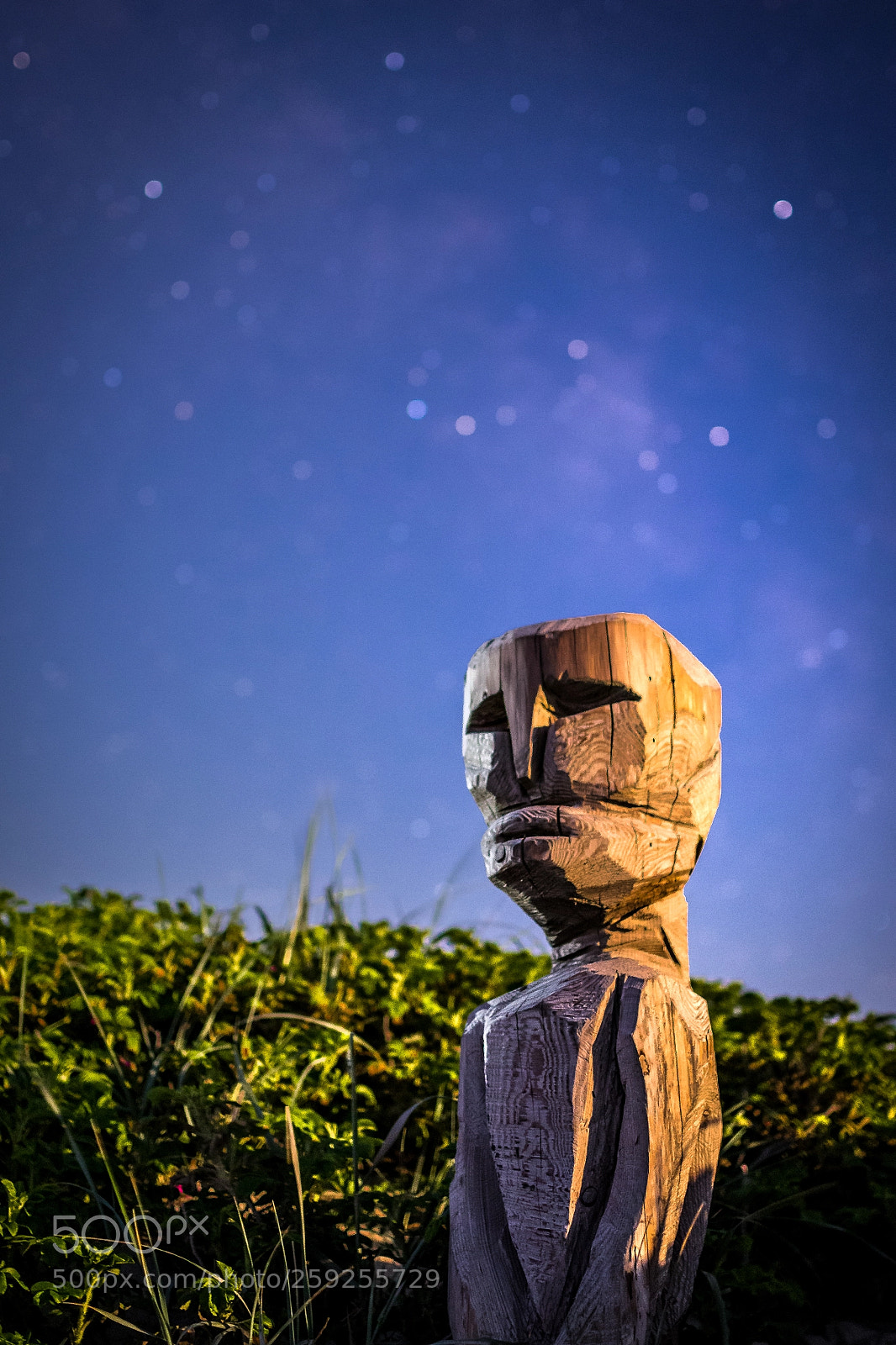 Pentax K-1 sample photo. Portrait with star bokeh photography