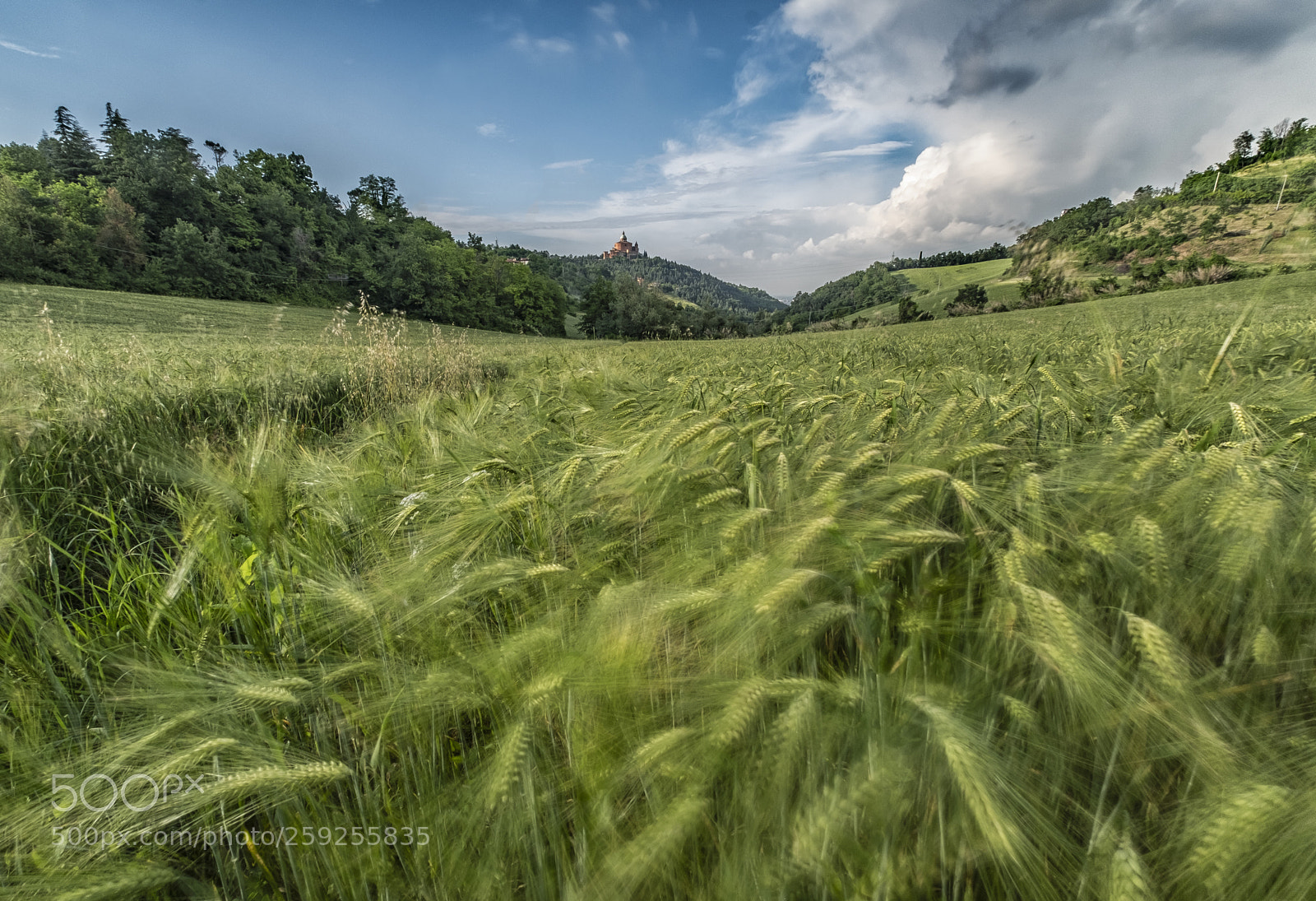 Fujifilm X-T2 sample photo. San luca photography