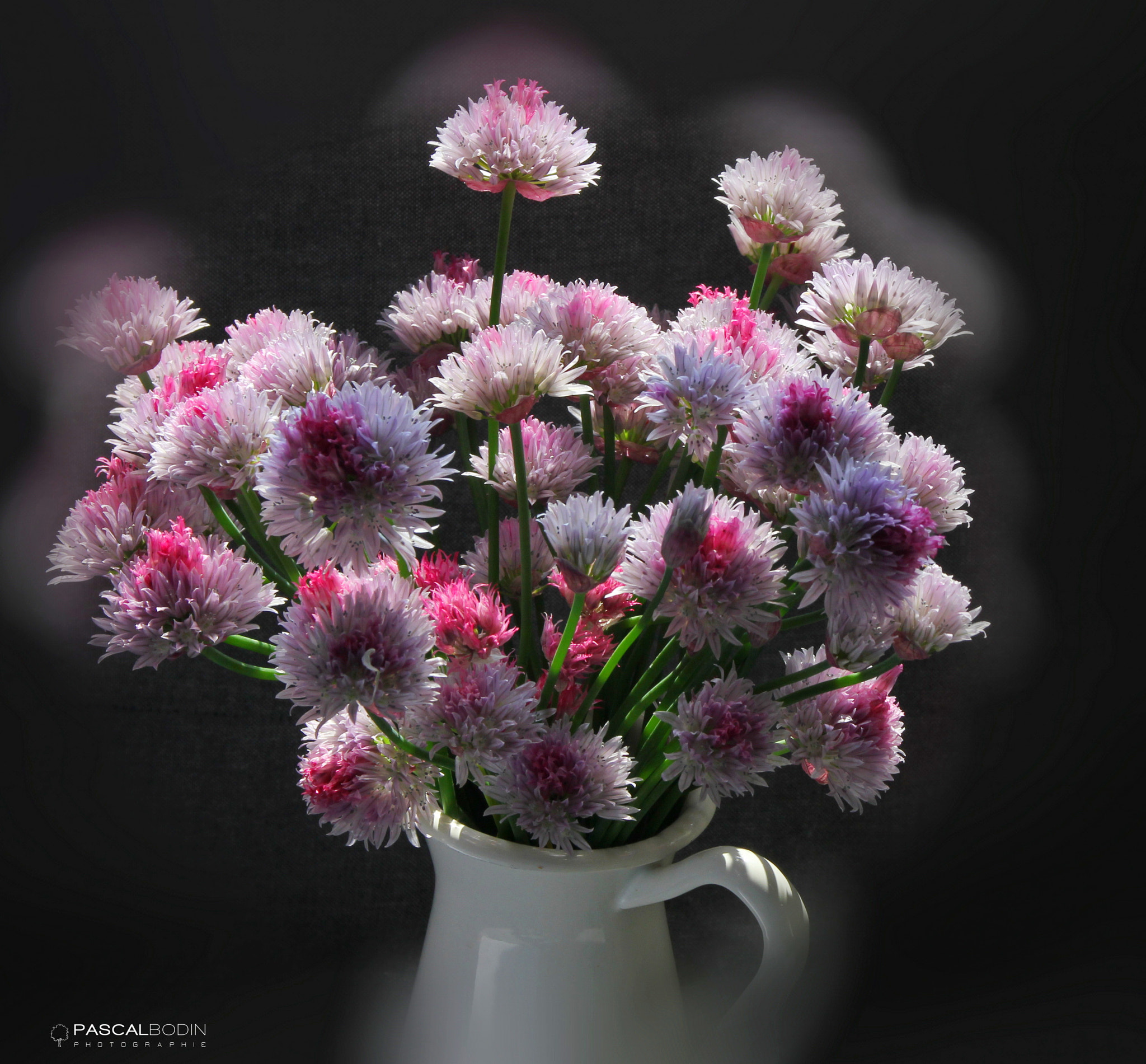 Canon EOS 60D sample photo. Ciboulette photography