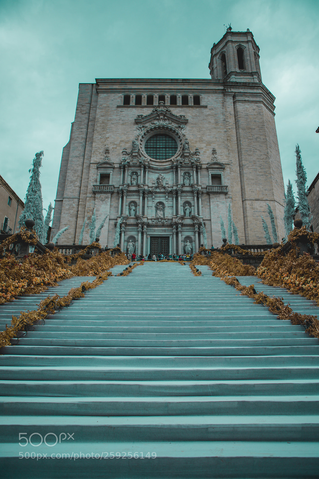 Canon EOS 6D Mark II sample photo. Girona; temps de flors photography