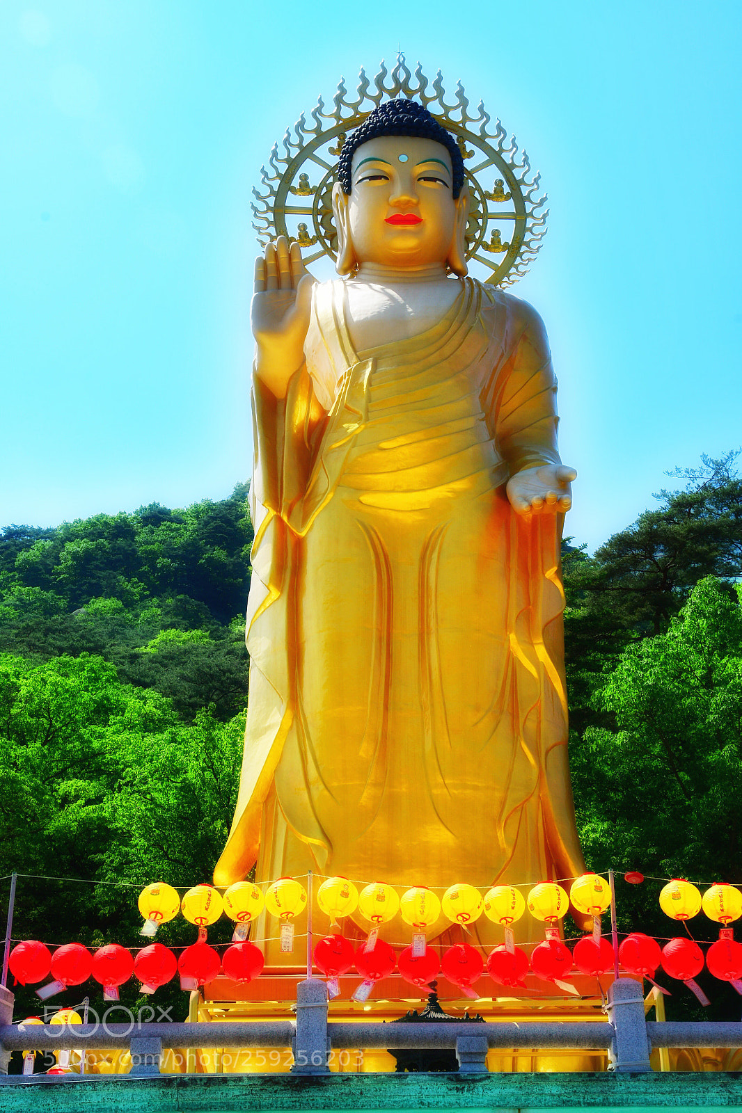 Nikon D500 sample photo. Untitled photography