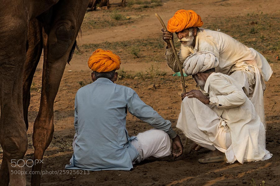 Sony a7 sample photo. Conversations pushkar mela. rajasthan photography