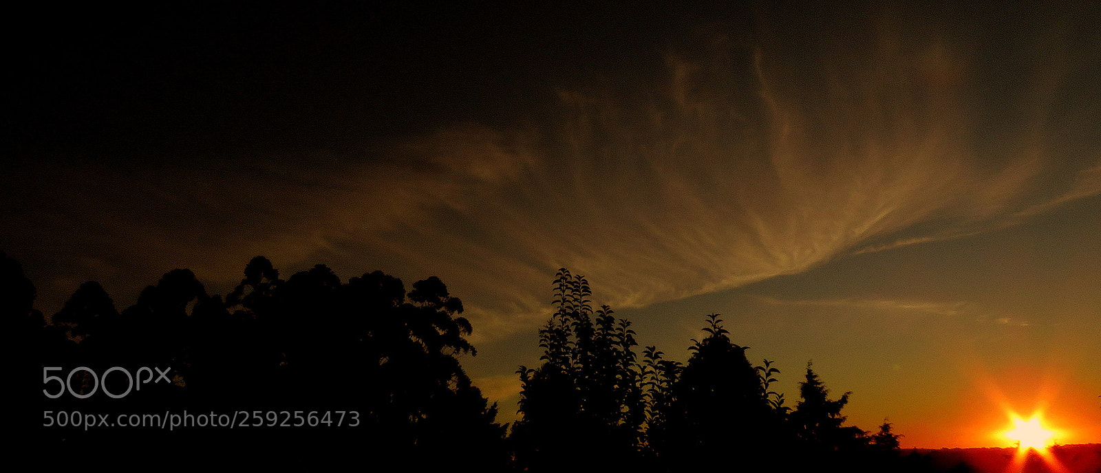 Canon PowerShot SX60 HS sample photo. Day end ... photography