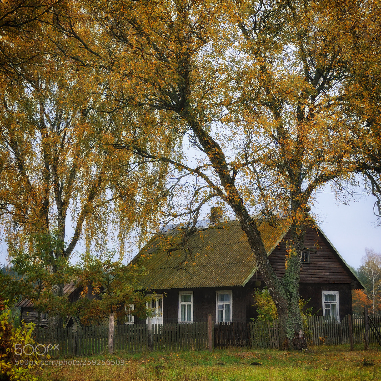 Nikon D300 sample photo. Lithuanian idyll photography