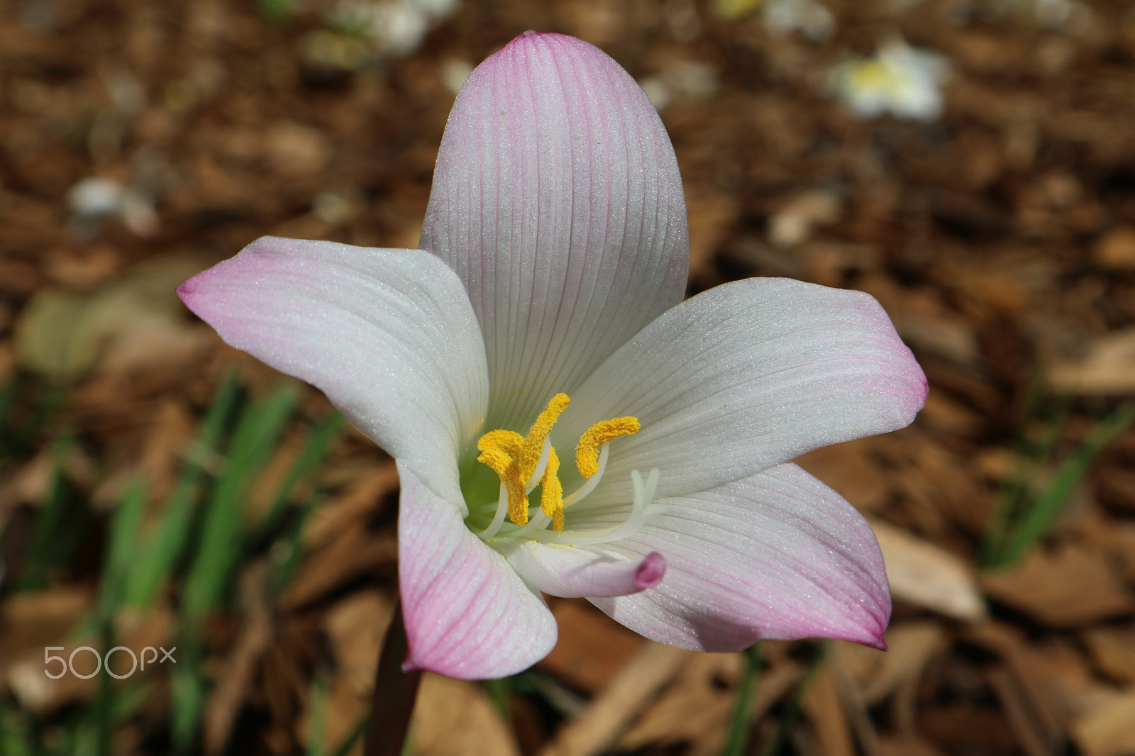 Canon EOS M3 sample photo. Silver~ photography