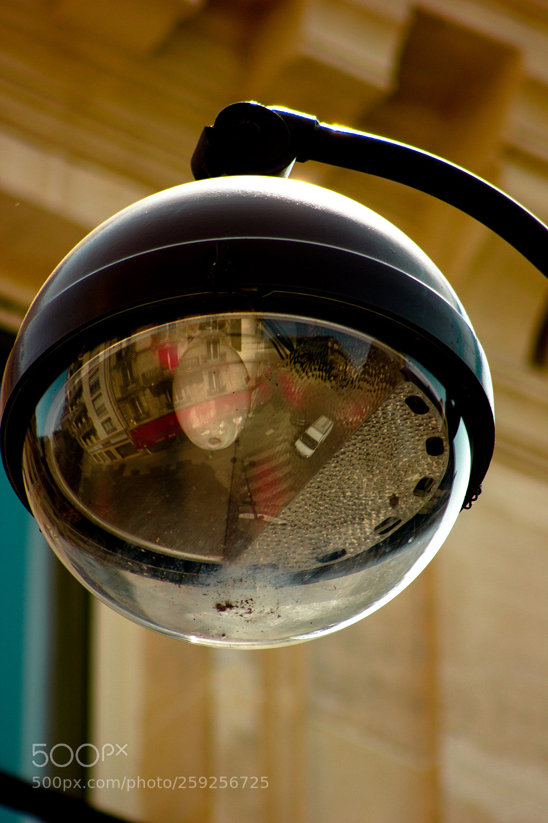 Canon EOS 550D (EOS Rebel T2i / EOS Kiss X4) sample photo. World in front of photography
