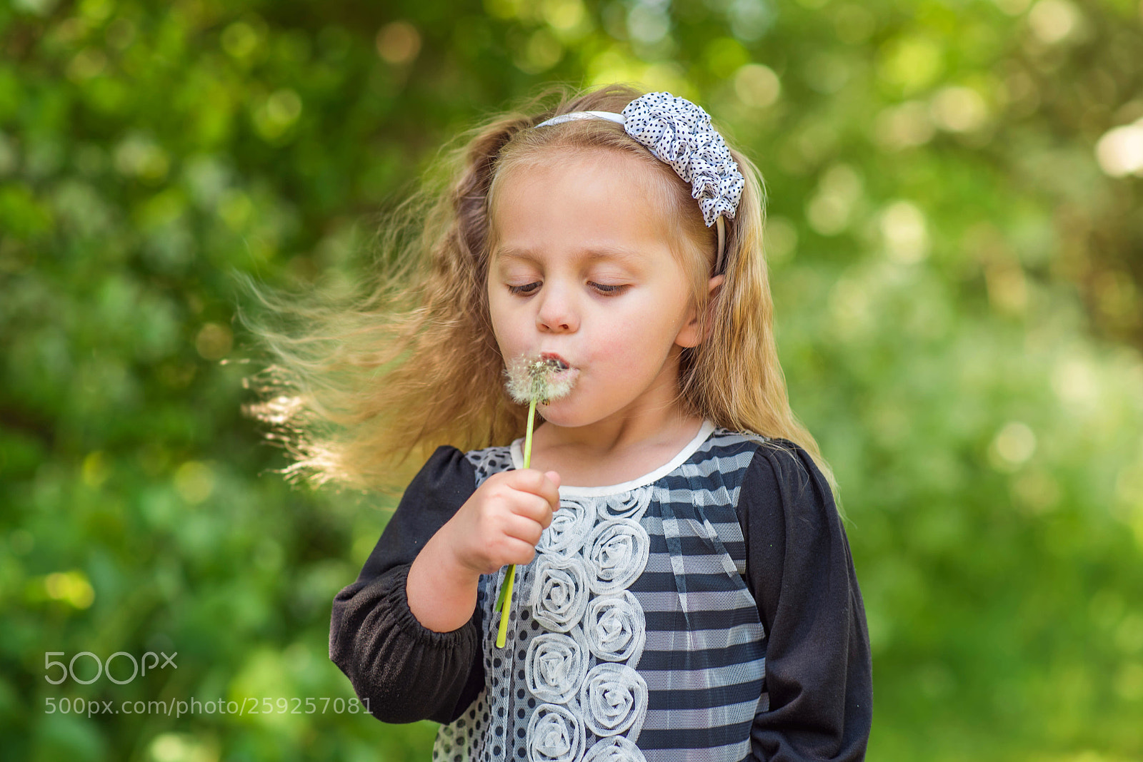 Nikon D750 sample photo. *** photography