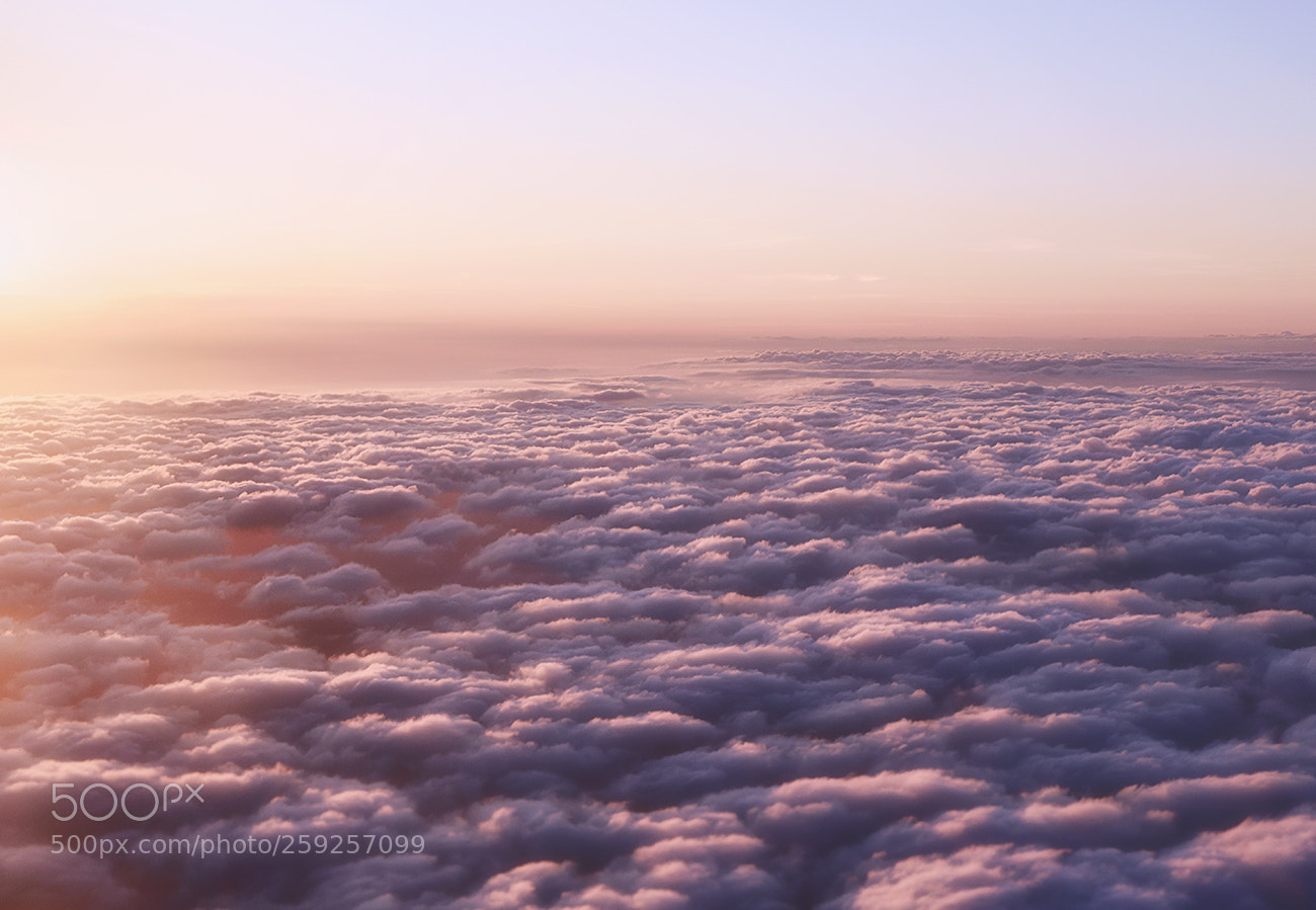 Nikon D810 sample photo. Light high photography