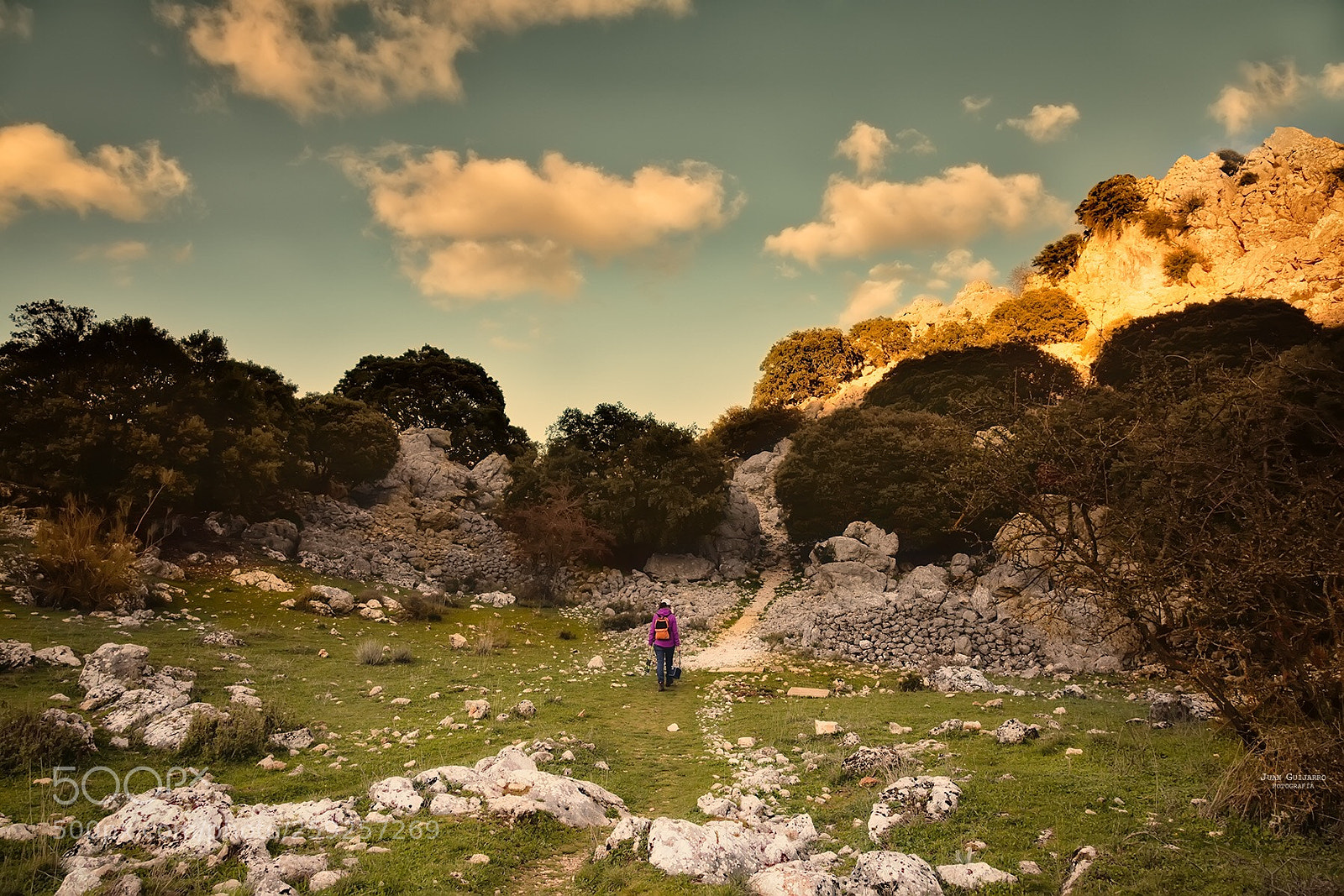 Canon EOS 5D Mark II sample photo. Camino photography