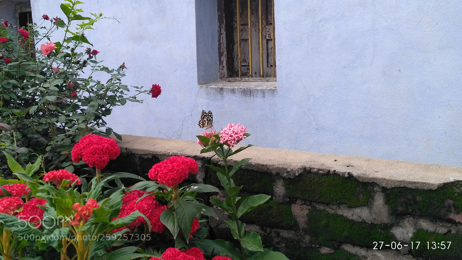 Xiaomi Redmi 3S sample photo. Untitled photography