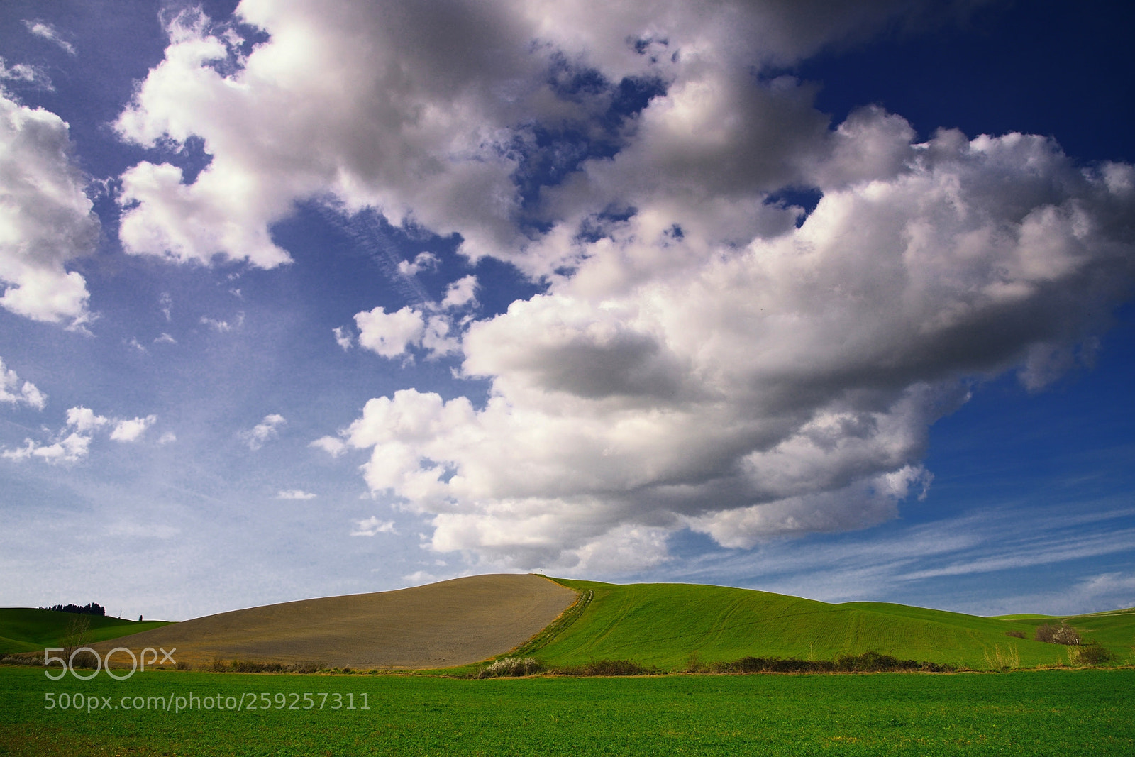 Nikon D800 sample photo. Hills and clouds photography