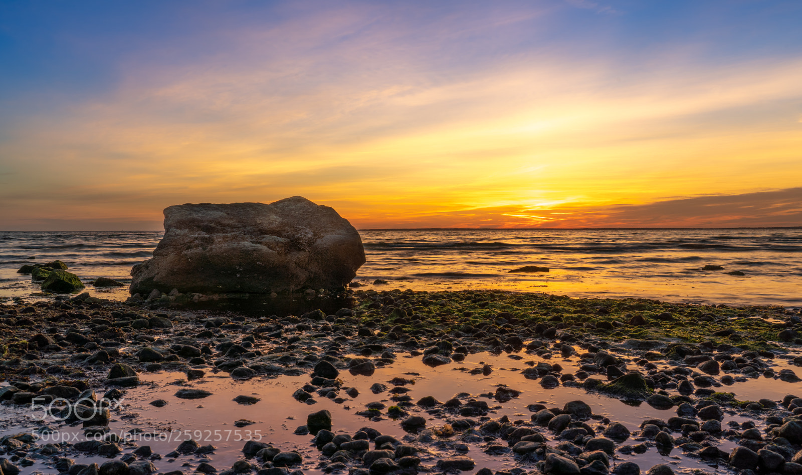 Sony a7R III sample photo. Old silver beach photography