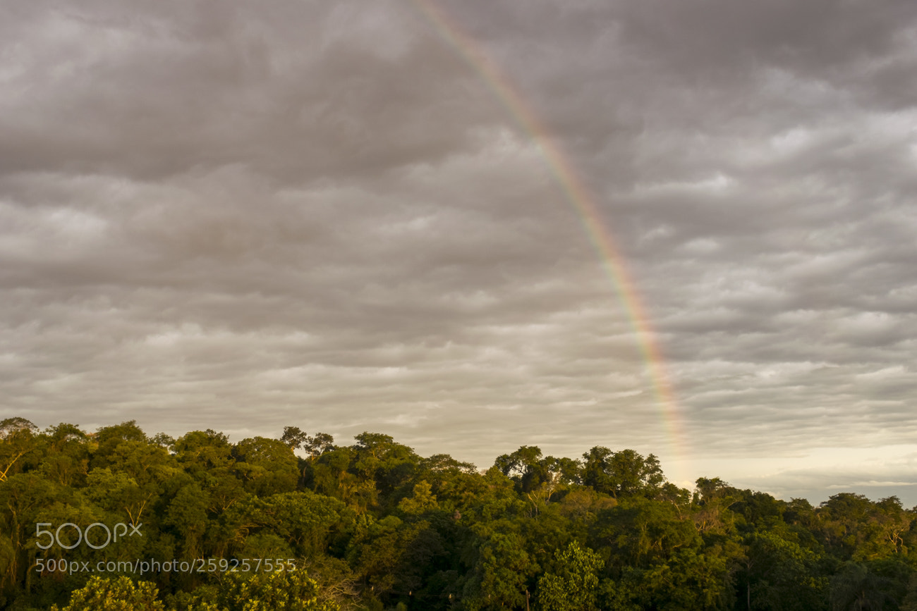 Nikon D5300 sample photo. Rainbow waterfalls iguaçu photography