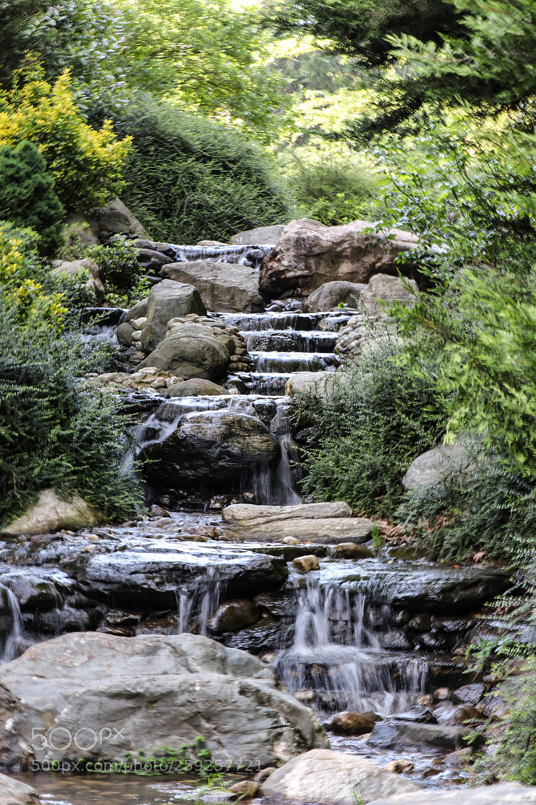 Canon EOS 77D (EOS 9000D / EOS 770D) sample photo. Untitled photography