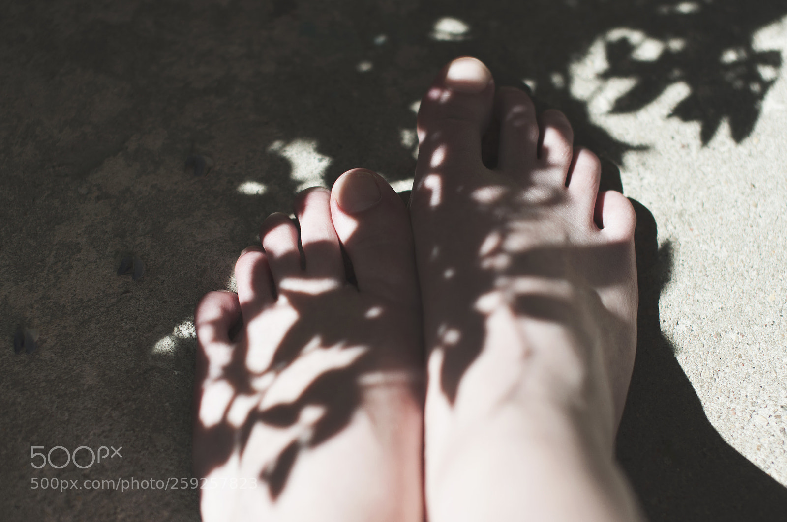 Nikon D5000 sample photo. Shadowplay photography