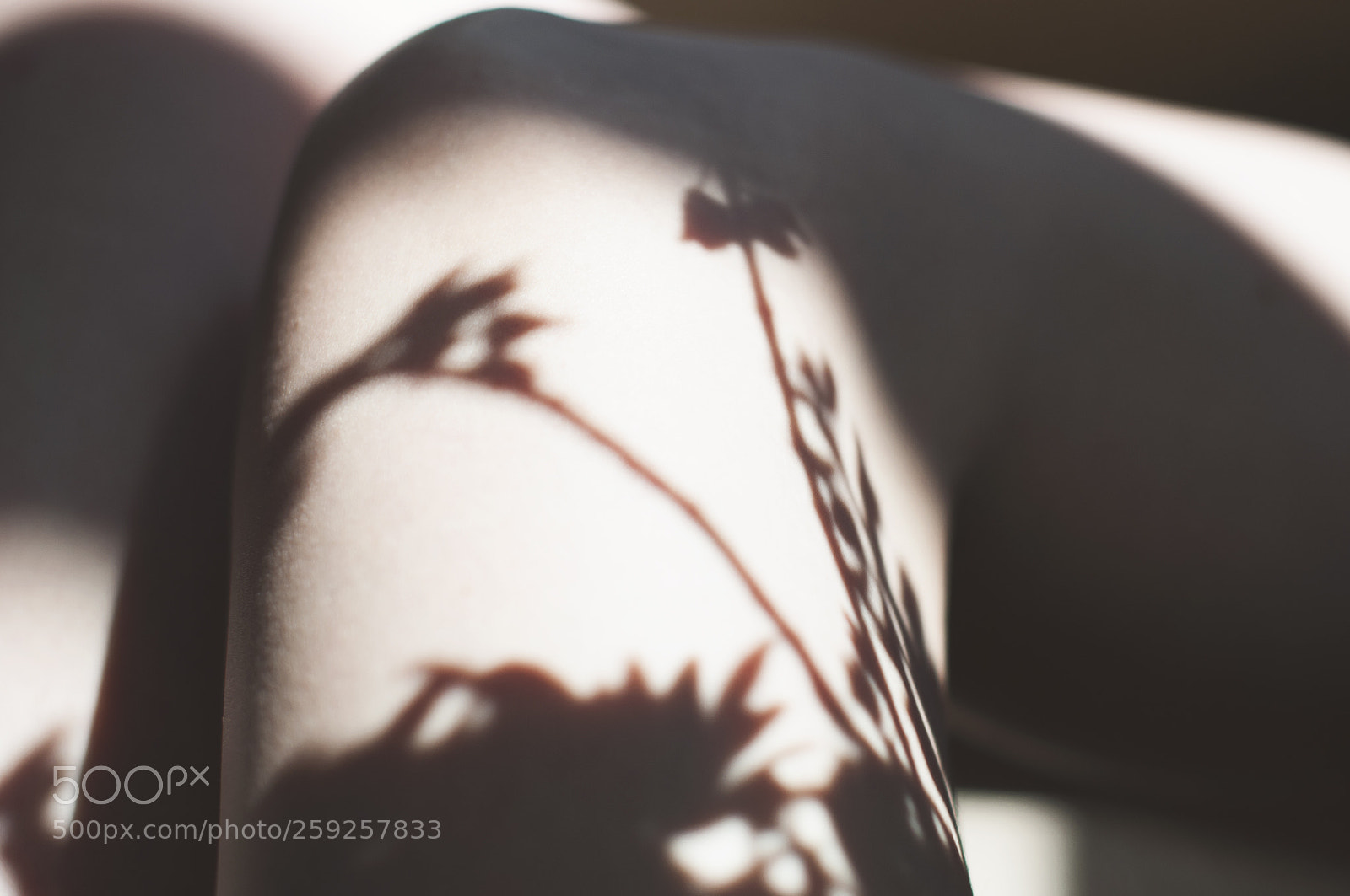 Nikon D5000 sample photo. Shadowplay photography