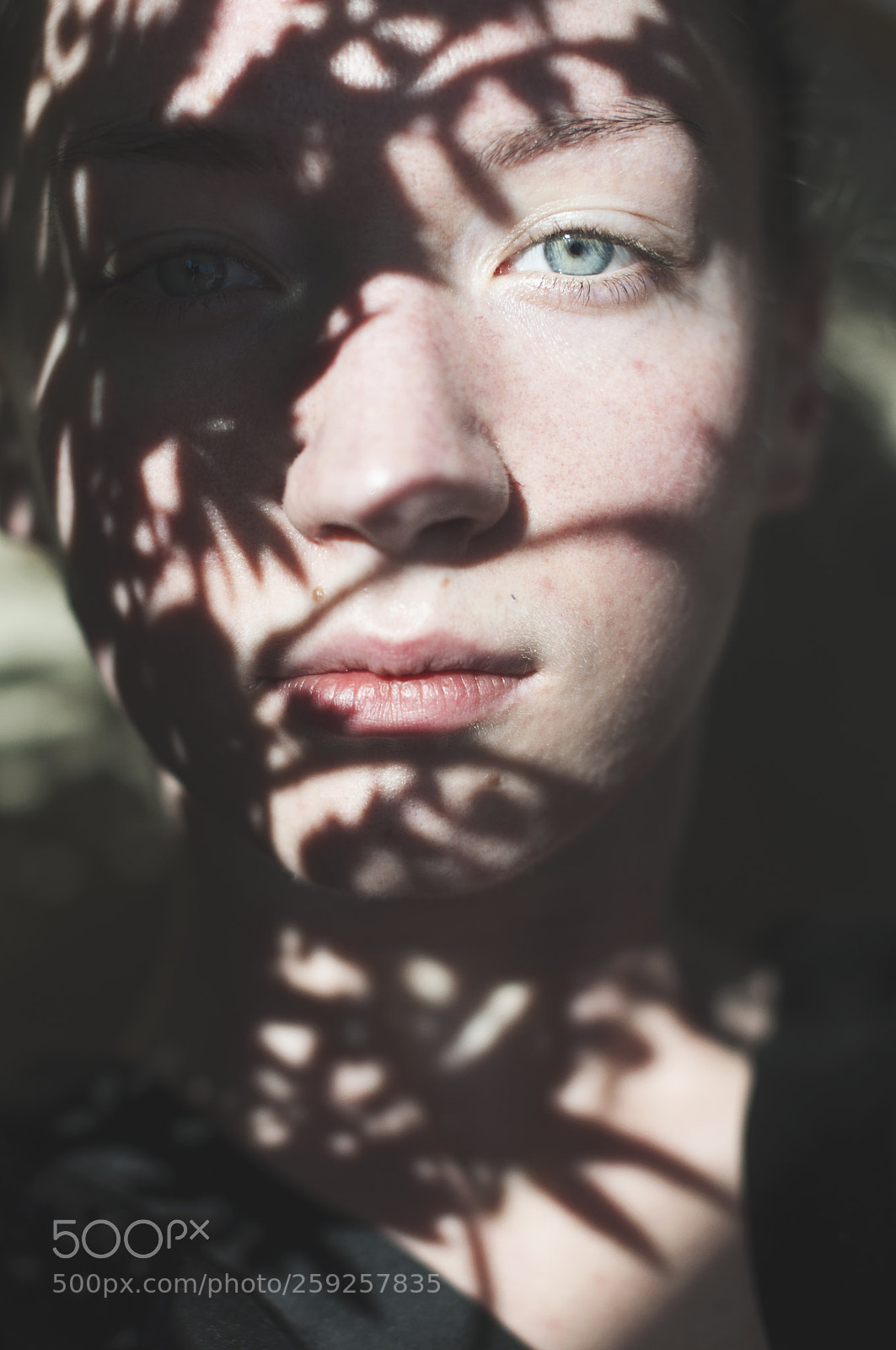 Nikon D5000 sample photo. Shadowplay photography