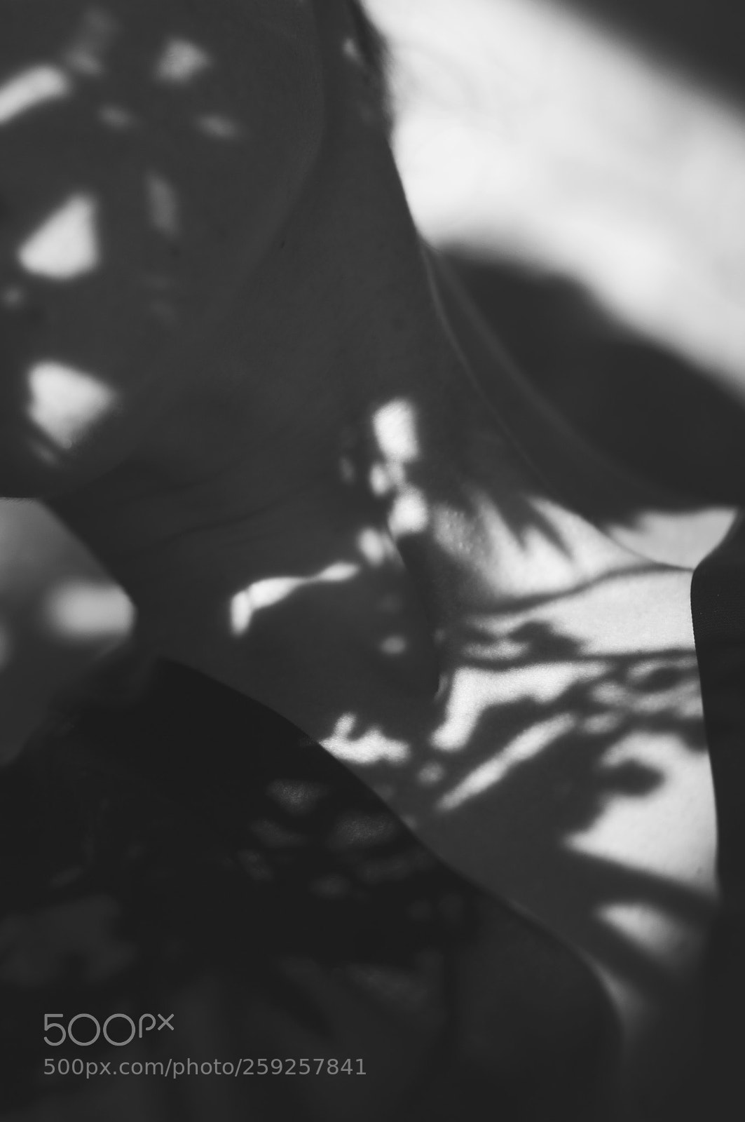 Nikon D5000 sample photo. Shadowplay photography