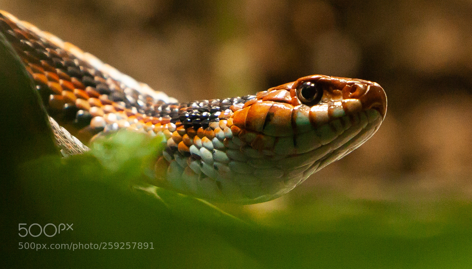 Canon EOS 5D Mark II sample photo. Untitled photography