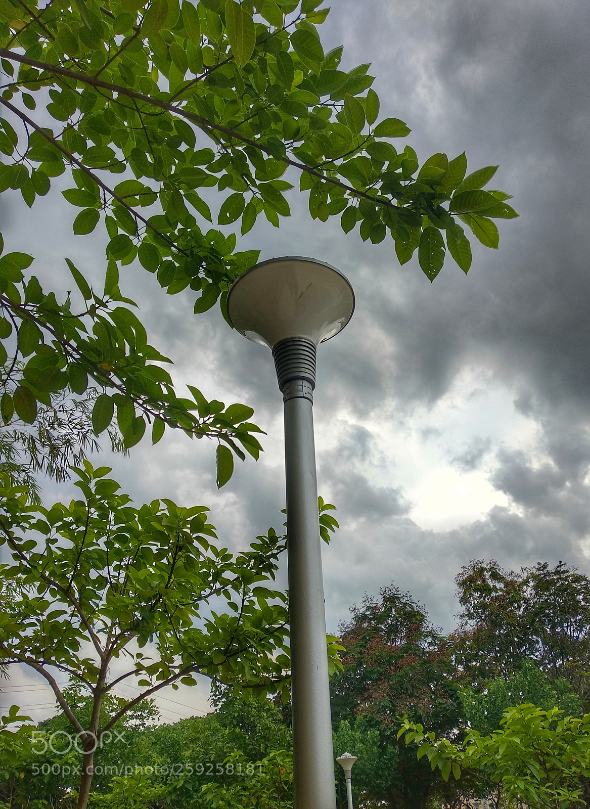 Xiaomi Mi A1 sample photo. Sky-high photography