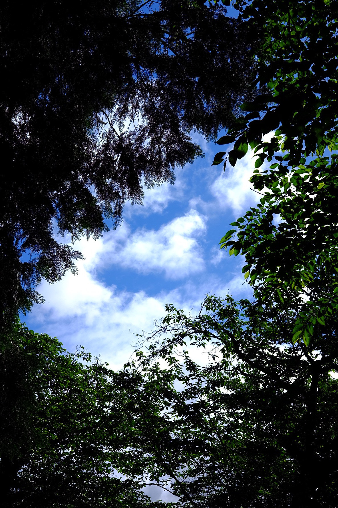 Fujifilm X-A1 sample photo