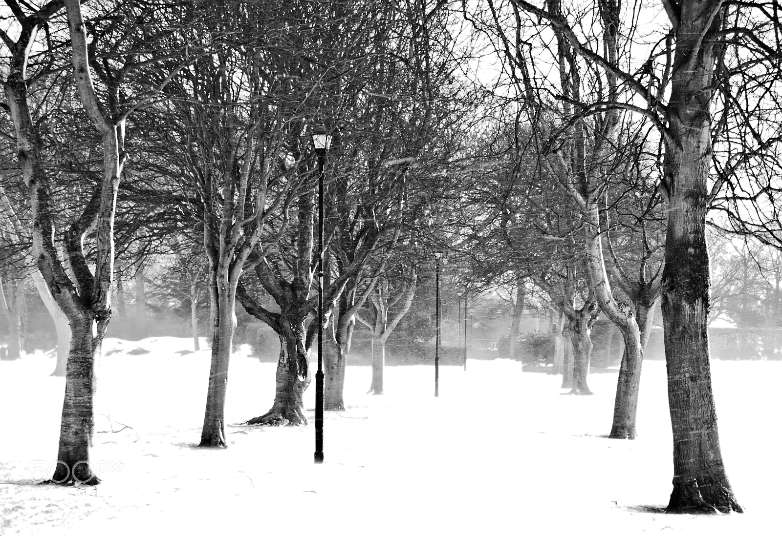 Nikon D3100 sample photo. Park in winter photography