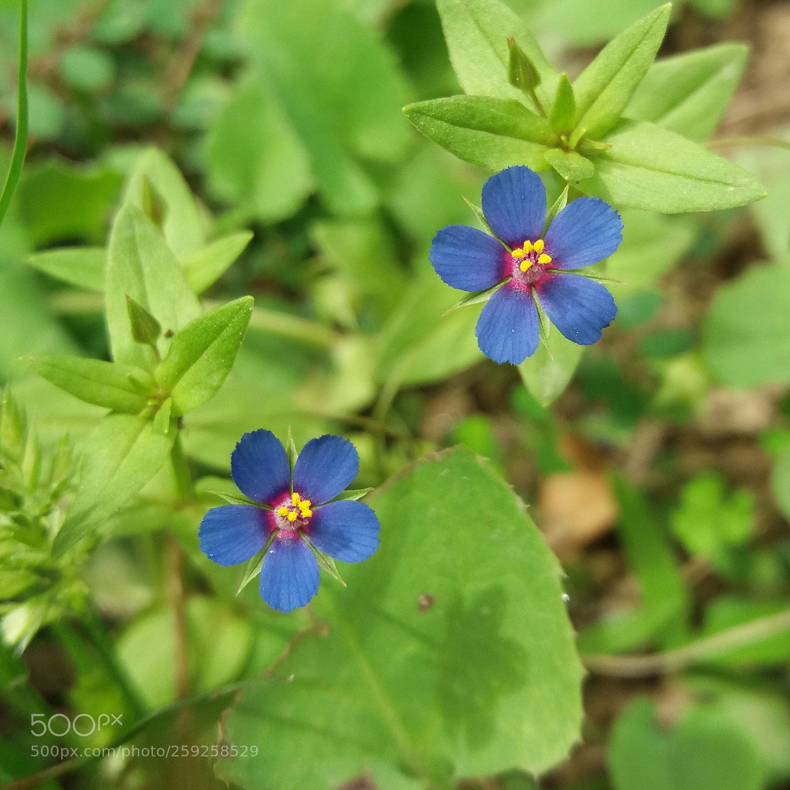 Samsung Galaxy J5(2016) sample photo. ? photography