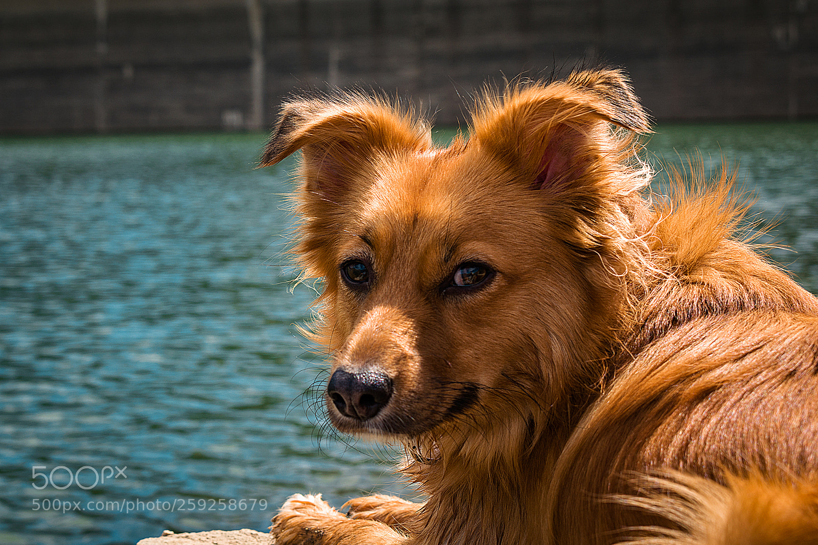 Nikon D5300 sample photo. ¿es a mi? photography
