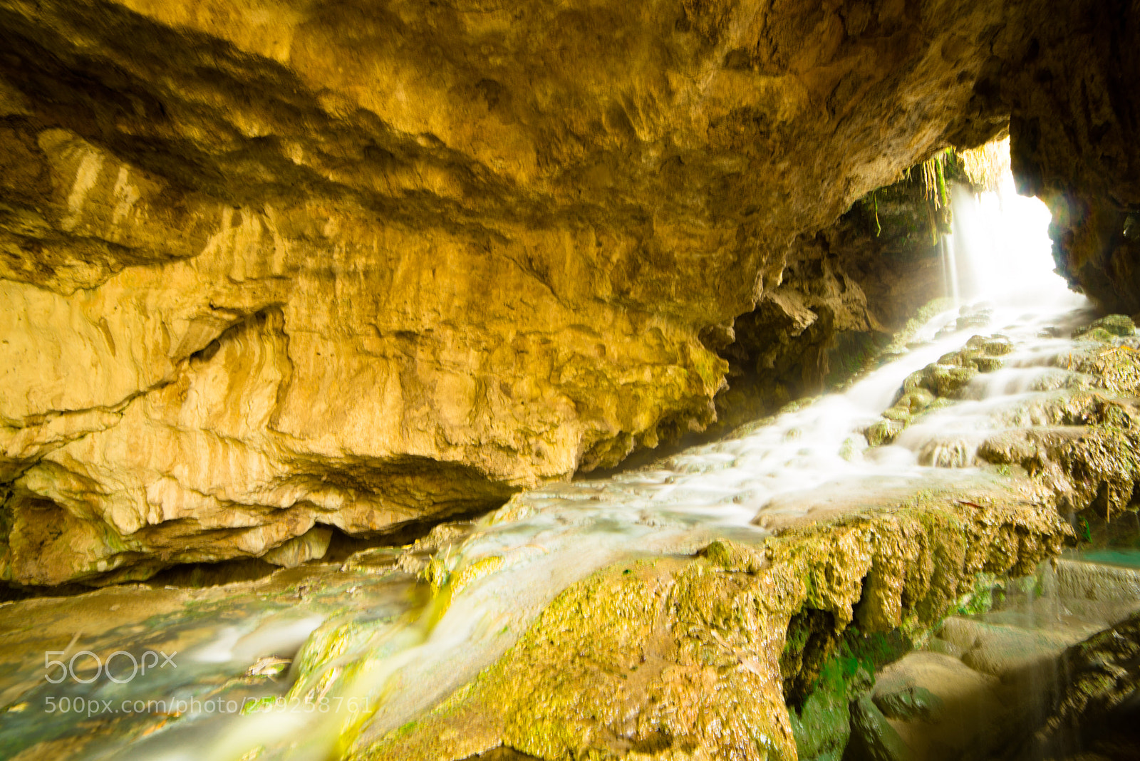 Nikon D610 sample photo. Trunk cave photography