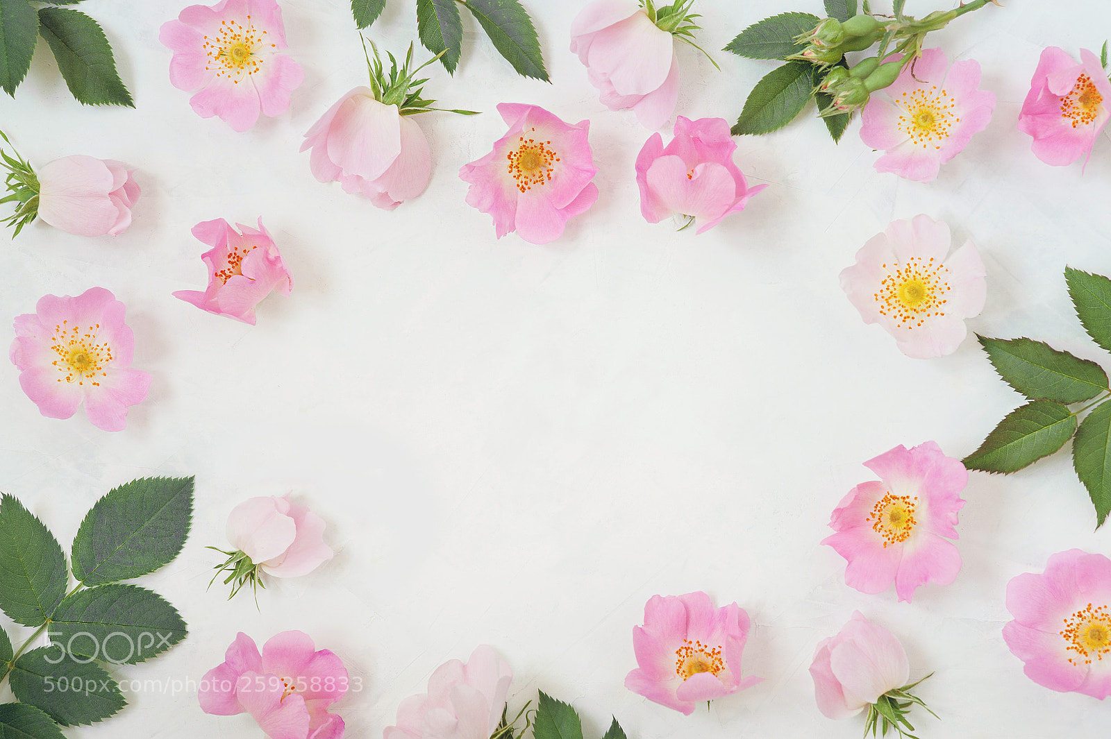 Nikon D700 sample photo. Round frame wreath pattern photography