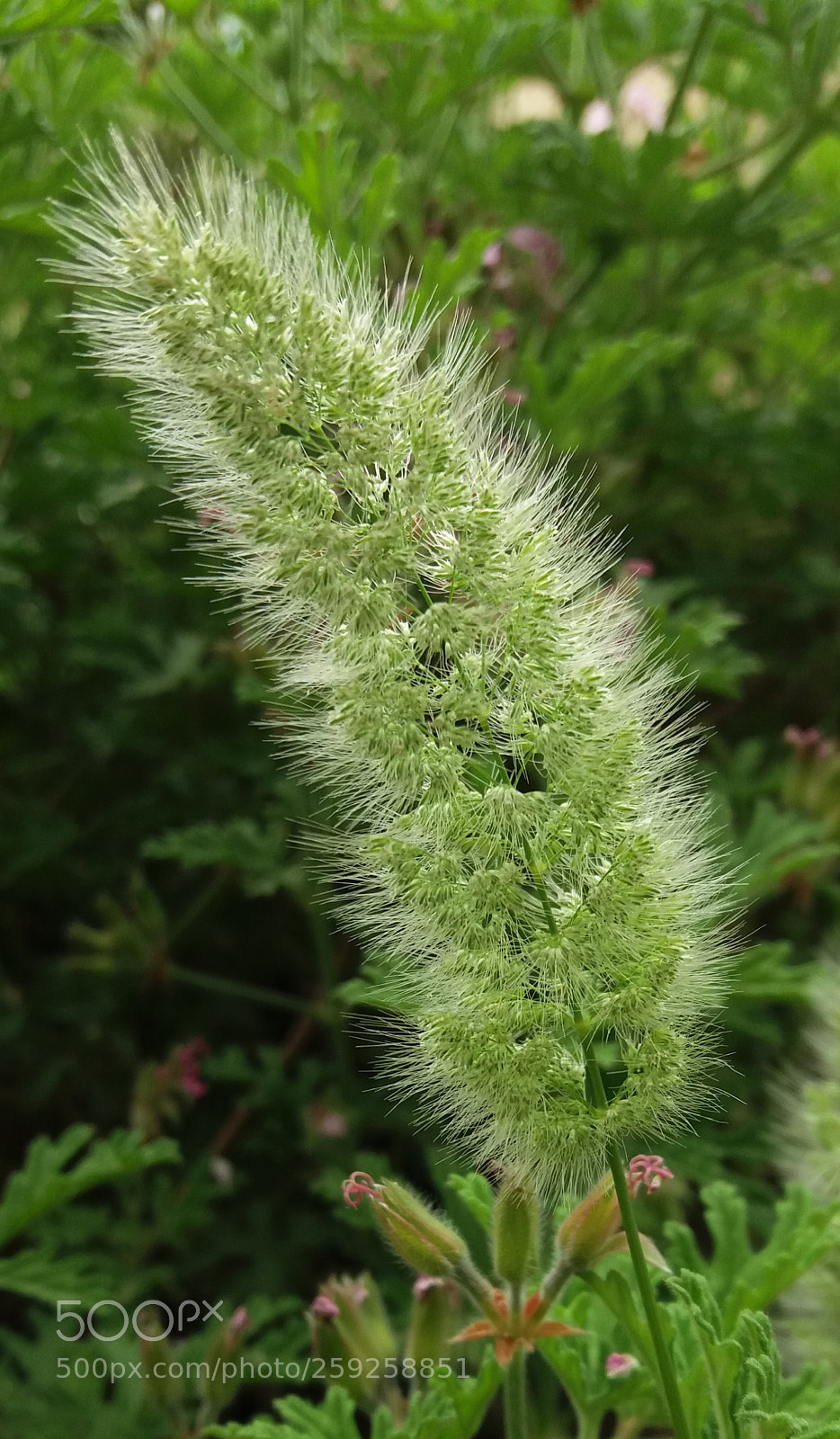Samsung Galaxy J5(2016) sample photo. ? photography
