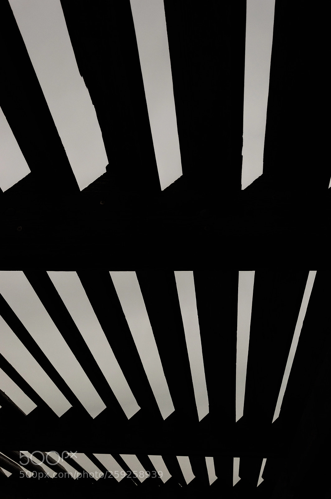 Nikon D90 sample photo. Black and white photography