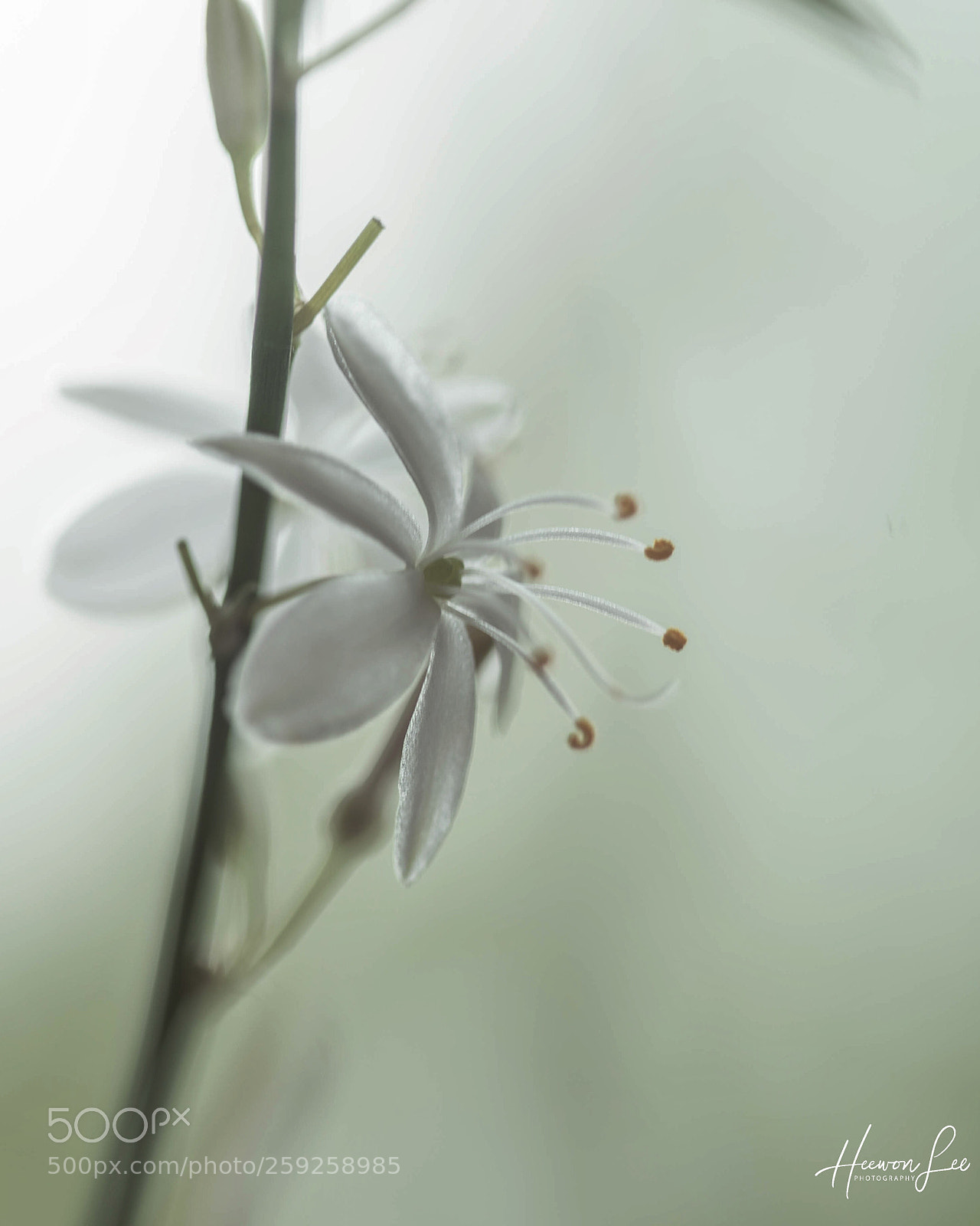 Canon EOS 6D sample photo. ᵀᴴᵁᴿᴰᴬᵞ ᴹᴼᴼᴰ photography