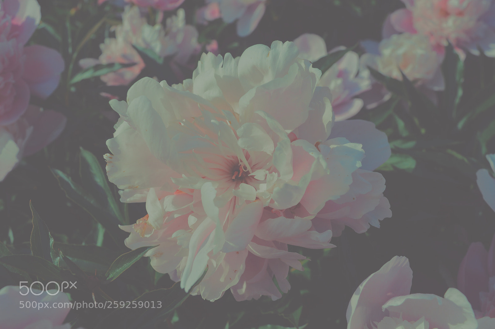 Nikon D3200 sample photo. Untitled photography